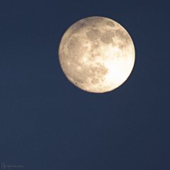 The Moon The Moon